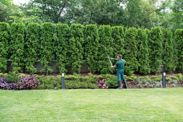 Best Lawn Irrigation Installation and Maintenance  in Montevlo, AL